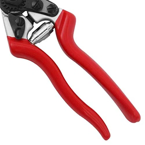 Tijeras de podar compactas Tijeras de podar para jardín Menos esfuerzo Tijeras de podar para huertos y jardines para manos pequeñas
