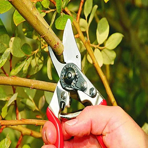 Tijeras de podar compactas Tijeras de podar para jardín Menos esfuerzo Tijeras de podar para huertos y jardines para manos pequeñas