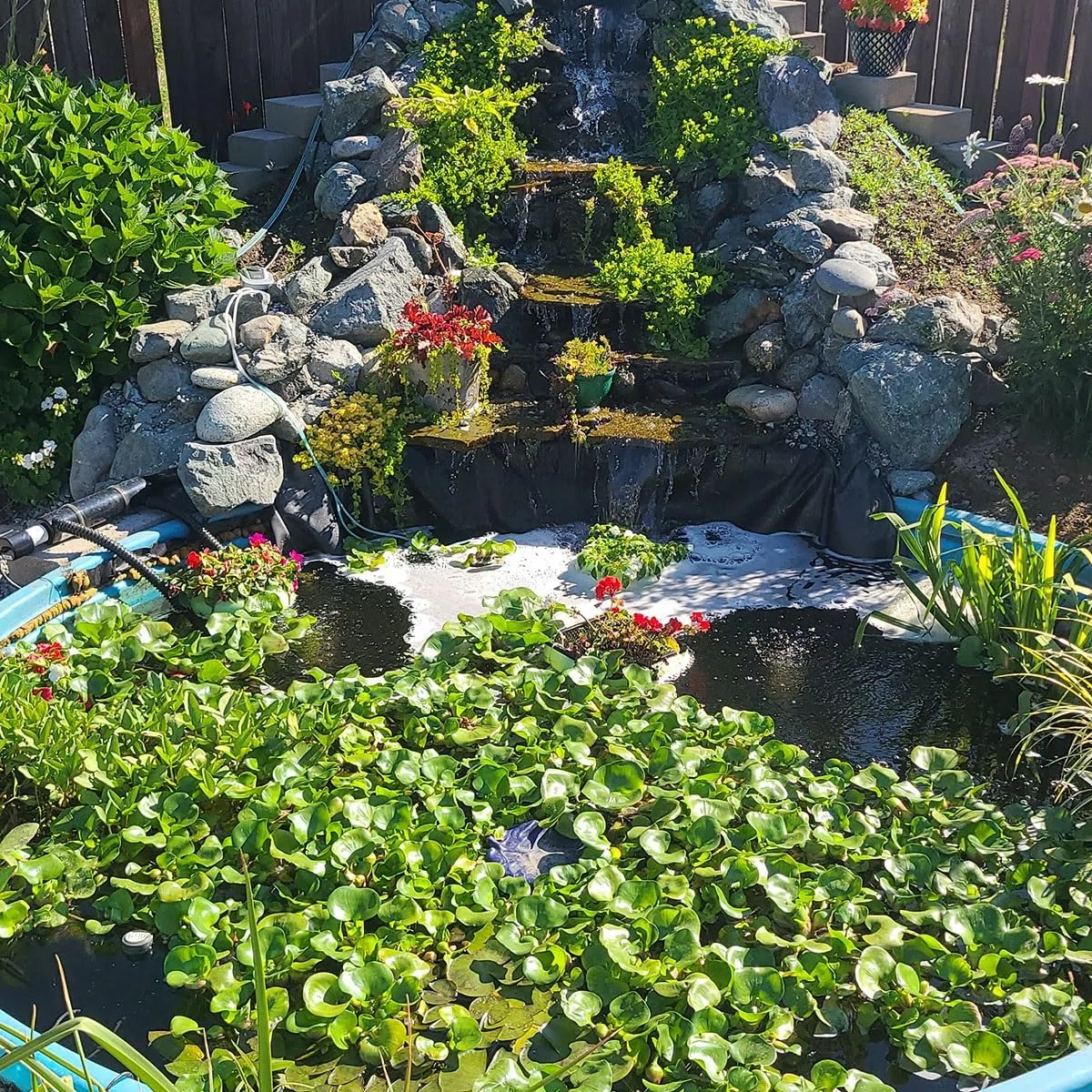 Este Revestimiento Impermeable para estanques de 6x9 m y 0,12 mm de Espesor es Ideal para estanques de jardín, Piscinas, estanques de Peces, Fuentes y Elementos acuáticos.