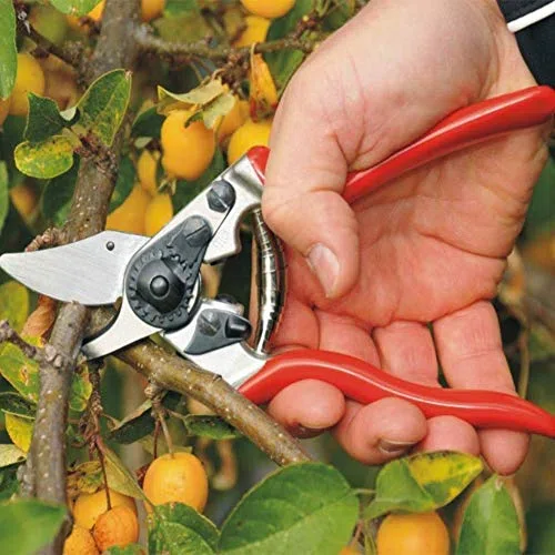 Tijeras de podar compactas Tijeras de podar para jardín Menos esfuerzo Tijeras de podar para huertos y jardines para manos pequeñas