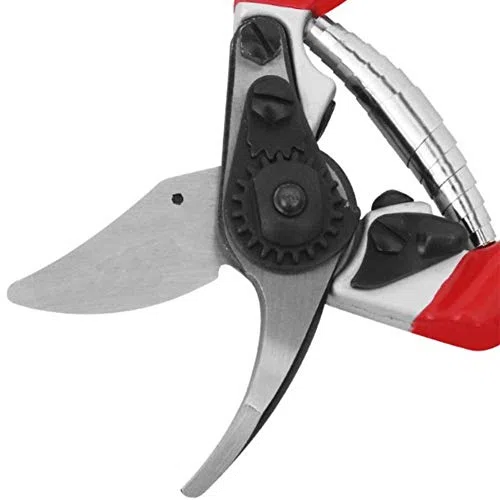 Tijeras de podar compactas Tijeras de podar para jardín Menos esfuerzo Tijeras de podar para huertos y jardines para manos pequeñas